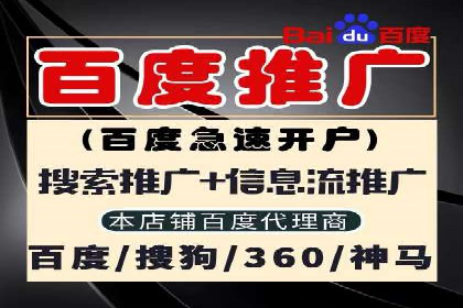 网络营销实战：案例分享竞价推广的秘诀